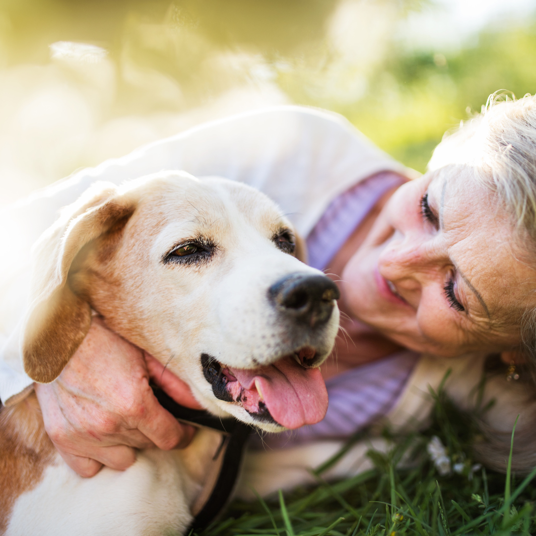 Navigating Cancer with Your Beloved Pet: Lifestyle Changes for Comfort and Happiness