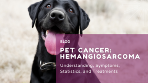 Hemangiosarcoma in Dogs: Understanding, Symptoms, Statistics, and Treatments