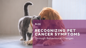 Recognizing Pet Cancer Symptoms Through Behavioural Changes