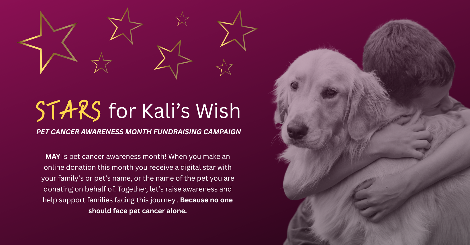 Kalis Wish Stars Campaign
