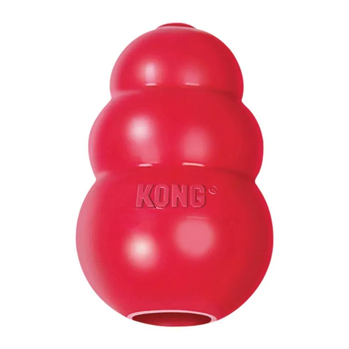 DONATE $10 TO KALI'S WISH AND KONG WILL DONATE A TOY