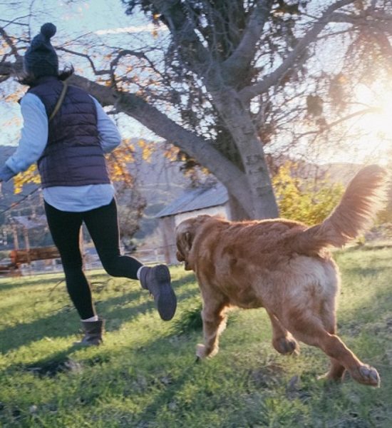 Get-Involved-Volunteer@2x