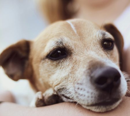 glen-carrie-R9V1P-XD3qw-unsplash